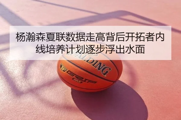 杨瀚森夏联数据走高背后开拓者内线培养计划逐步浮出水面