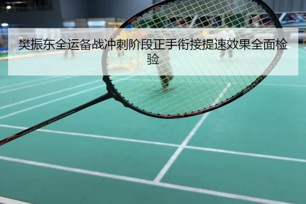 樊振东全运备战冲刺阶段正手衔接提速效果全面检验